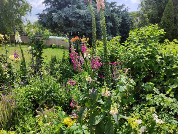 3 ogrody – blog ogrodniczy